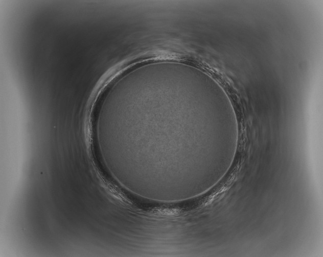 X0000116890247200912221459