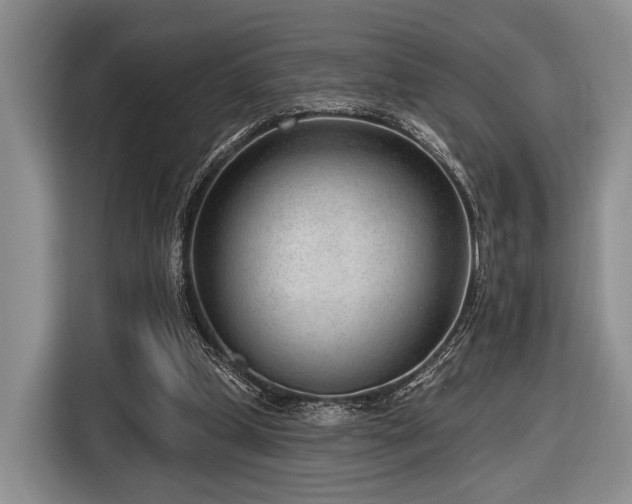X0000116890249200912221459