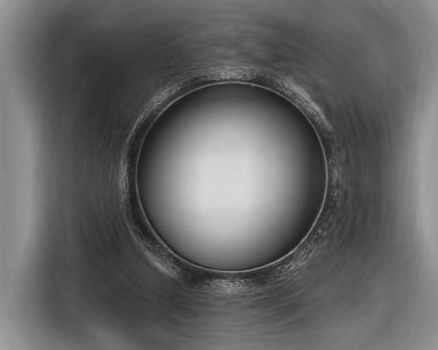 X0000116890250200912221459
