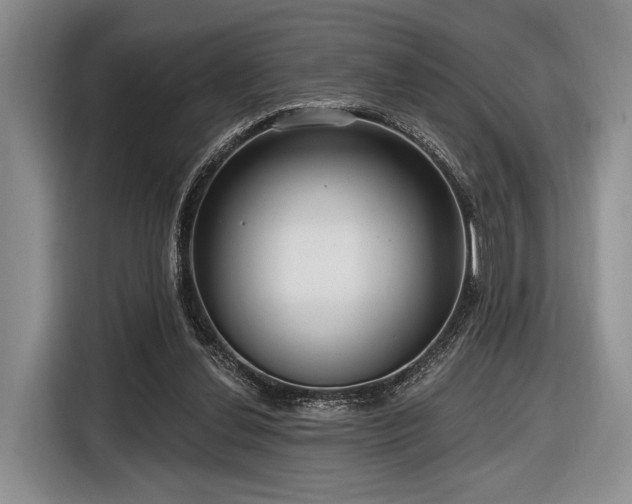 X0000116890252200912221459