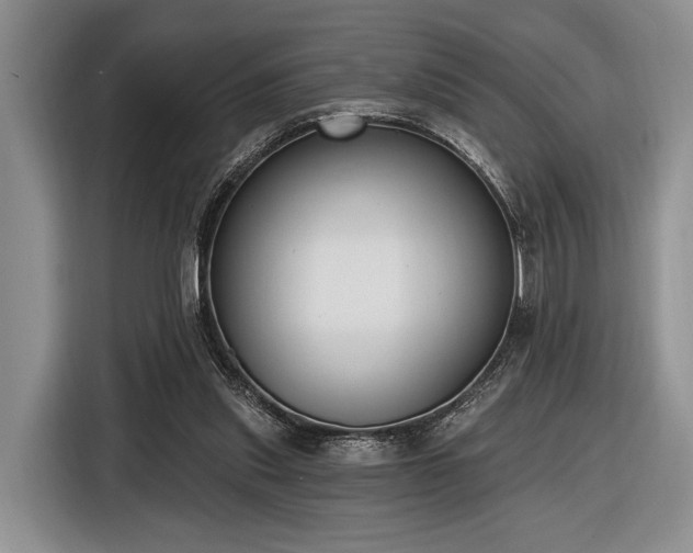 X0000116890253200912221459