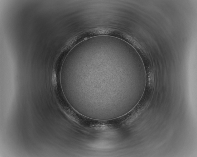 X0000116890254200912221459