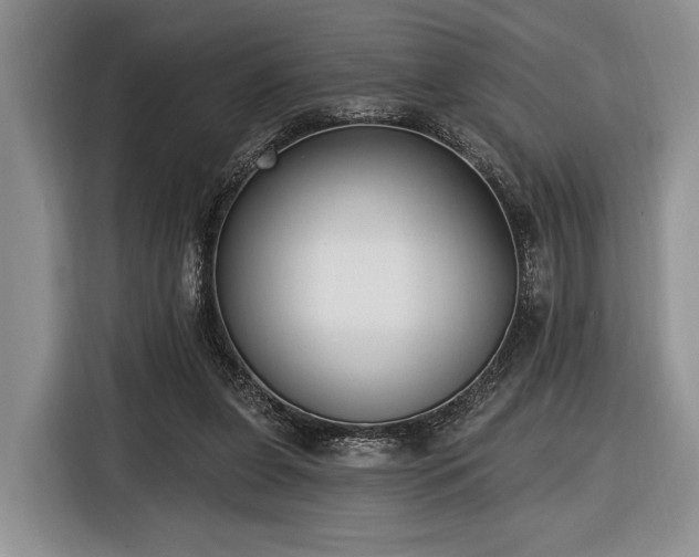 X0000116890255200912221459