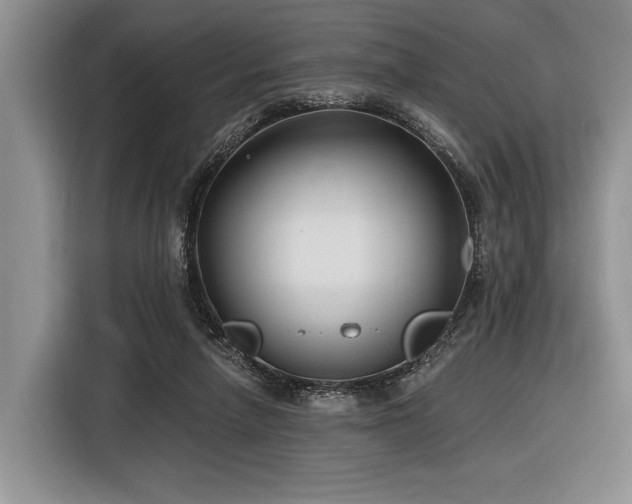 X0000116890258200912221459