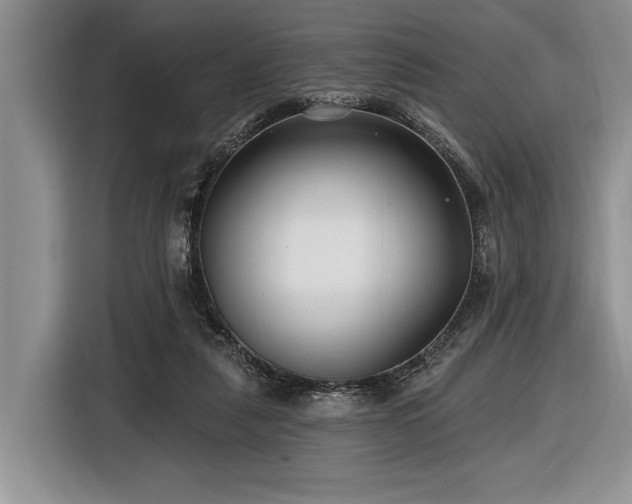X0000116890259200912221459