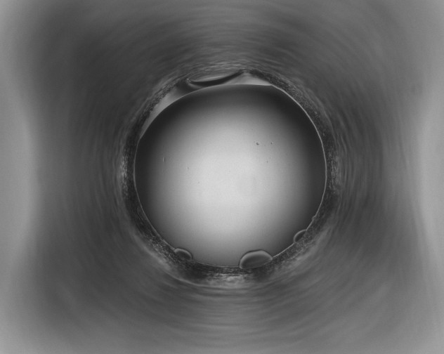 X0000116890260200912221459