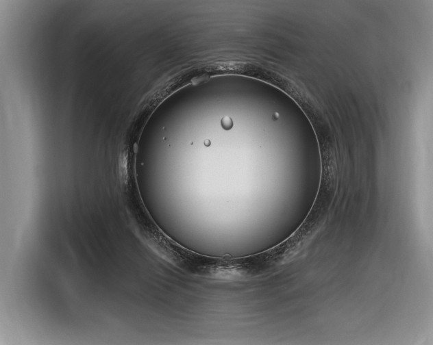 X0000116890262200912221459