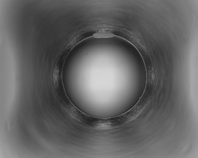 X0000116890263200912221459