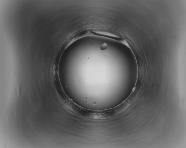 X0000116890264200912221459
