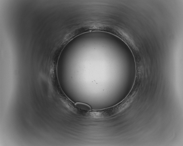 X0000116890265200912221459