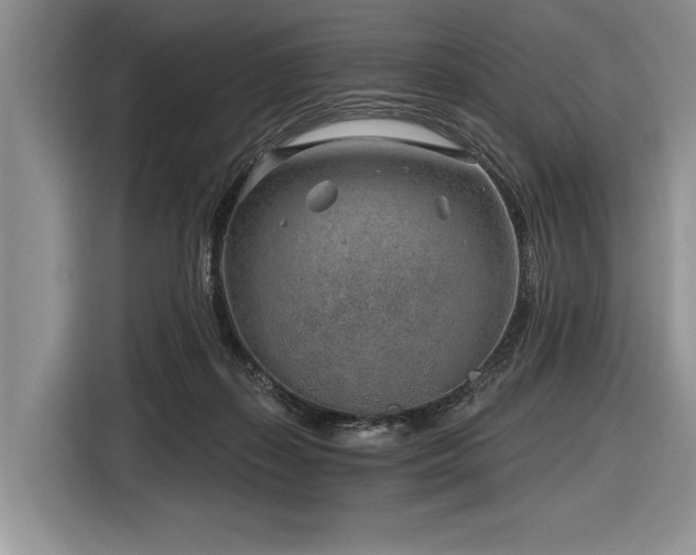 X0000116890267200912221459