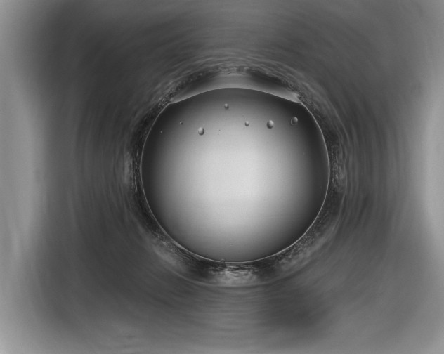X0000116890270200912221459