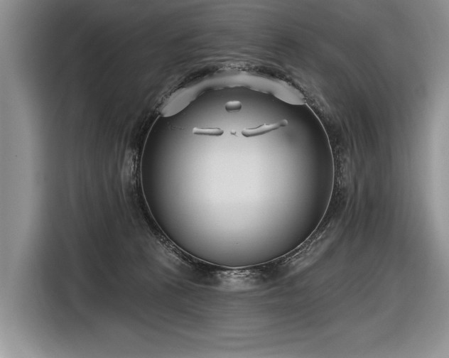 X0000116890273200912221459