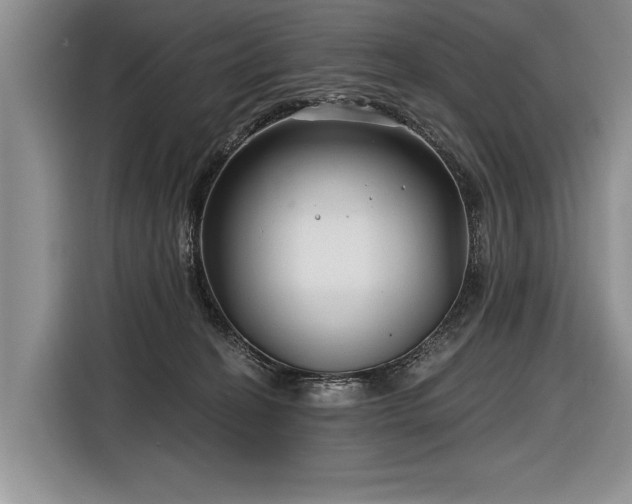 X0000116890274200912221459