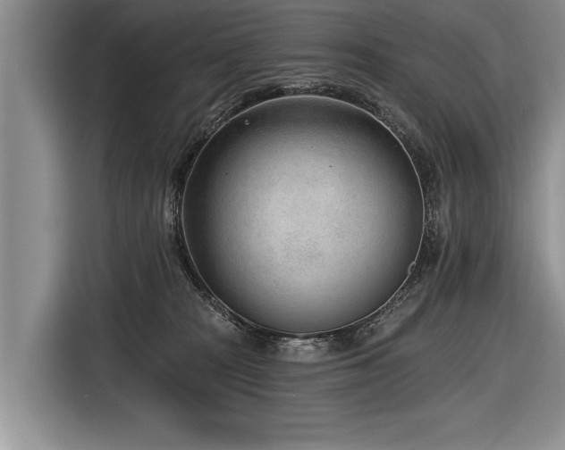 X0000116890277200912221459