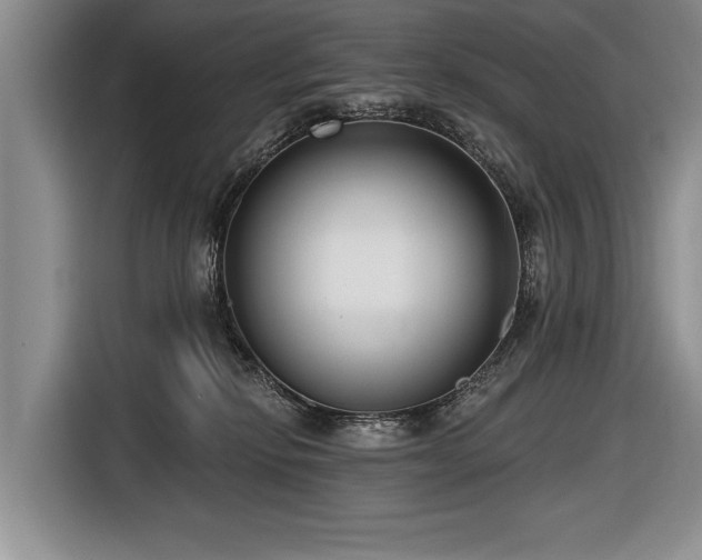 X0000116890278200912221459