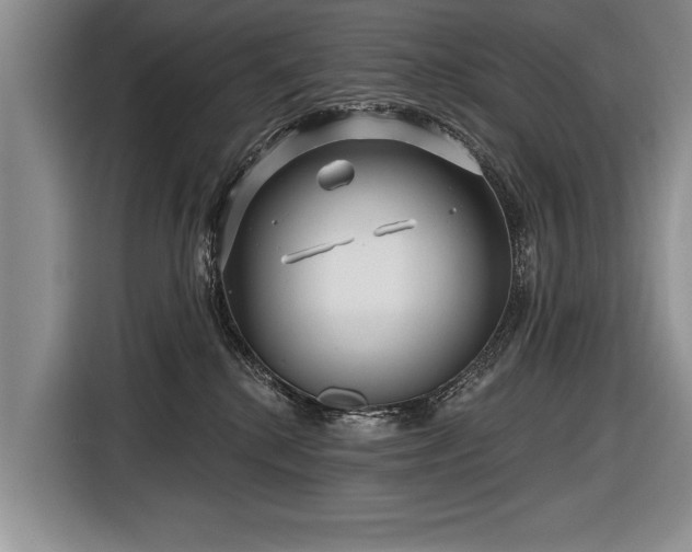 X0000116890280200912221459