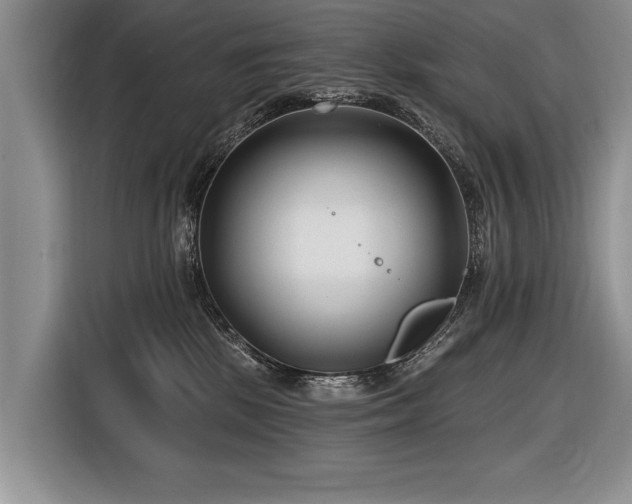 X0000116890281200912221459