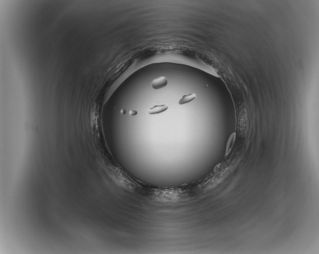 X0000116890282200912221459