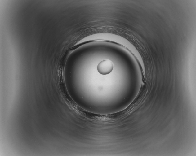 X0000116890284200912221459