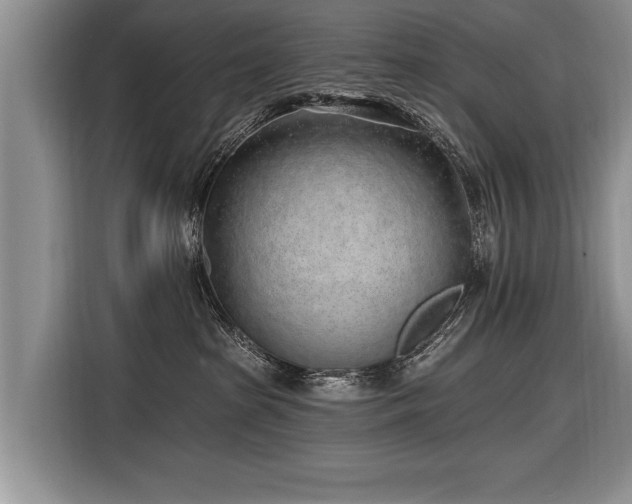 X0000116890285200912221459