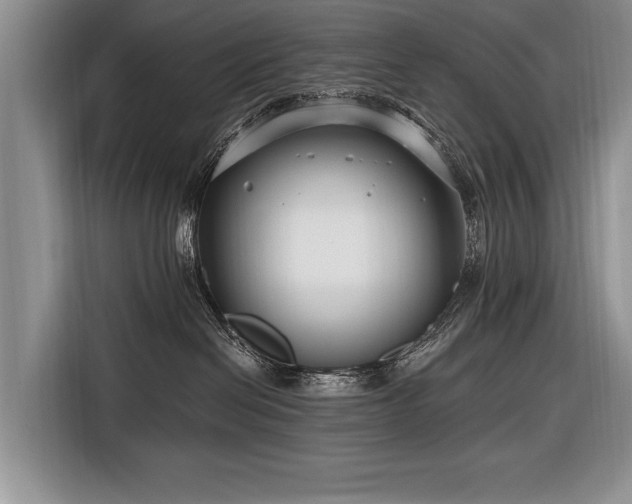 X0000116890286200912221459