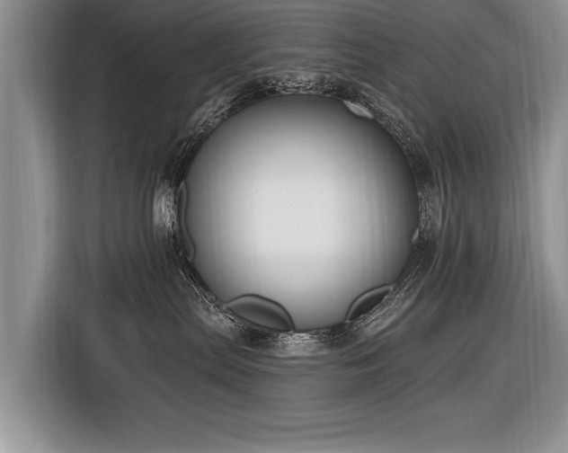 X0000116890287200912221459