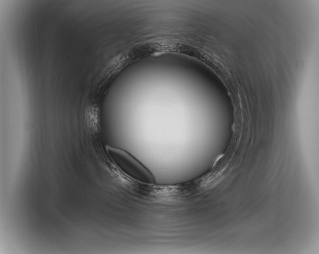X0000116890288200912221459
