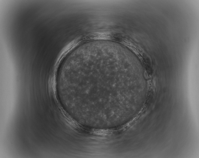 X0000116890293200912221459