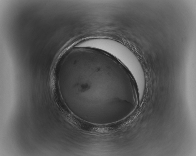 X0000116890295200912221459