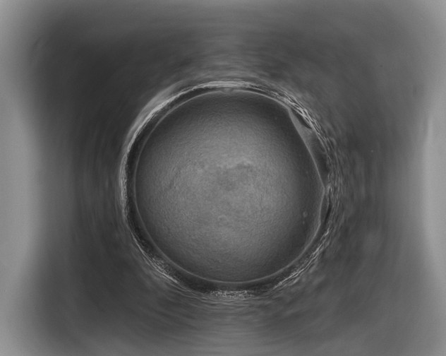X0000116890296200912221459