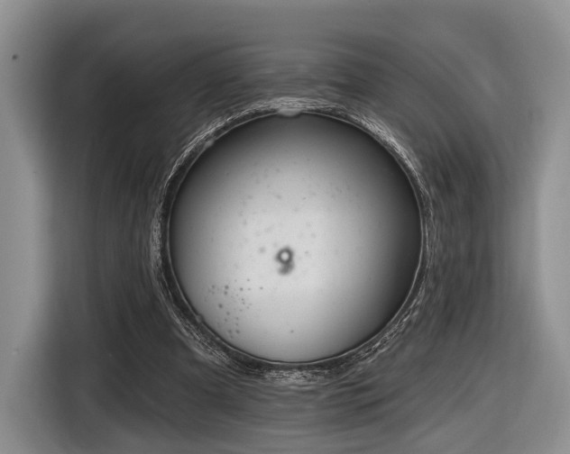 X0000116890297200912221459