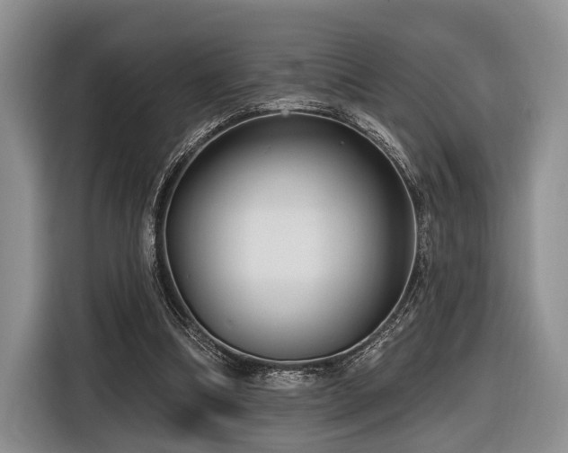 X0000116890298200912221459