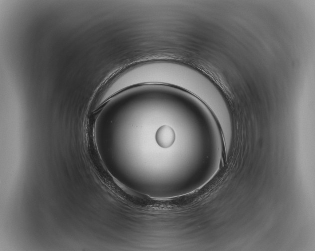 X0000116890300200912221459