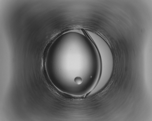 X0000116890301200912221459