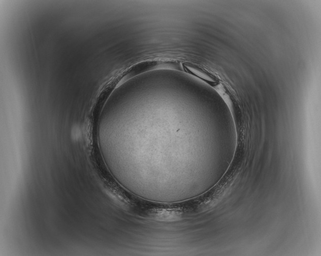 X0000116890303200912221459