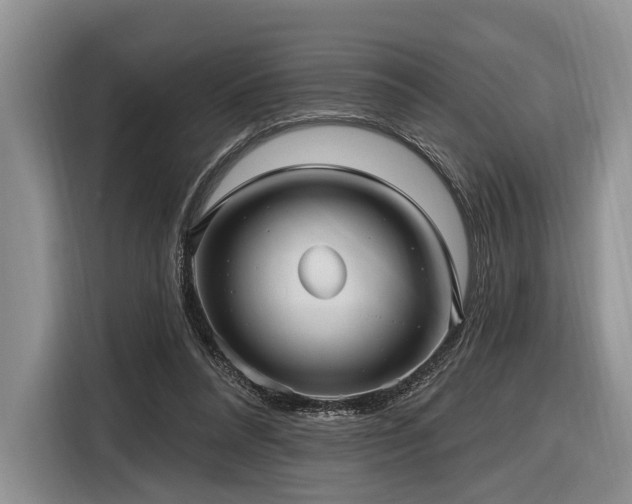 X0000116890304200912221459