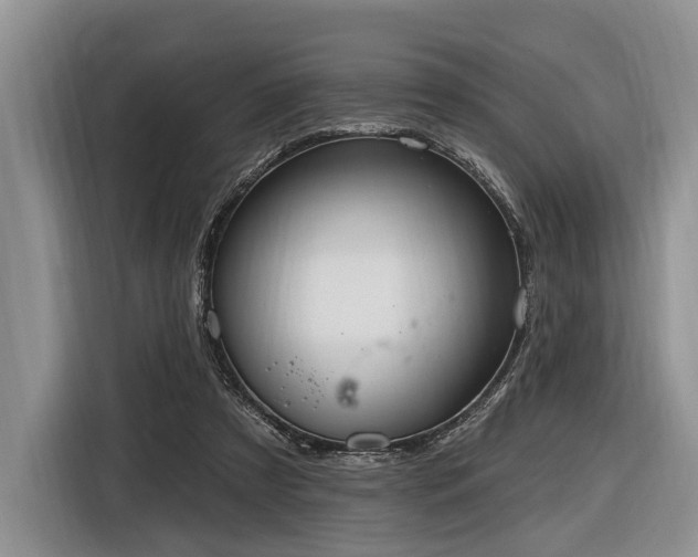 X0000116890305200912221459