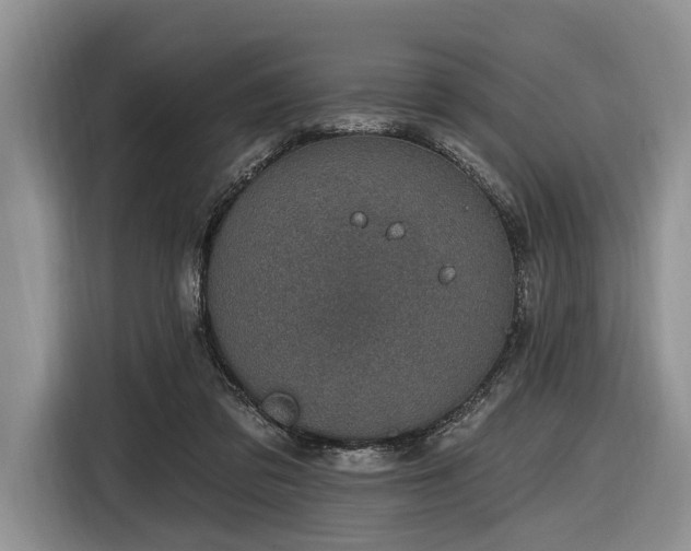 X0000116890309200912221458