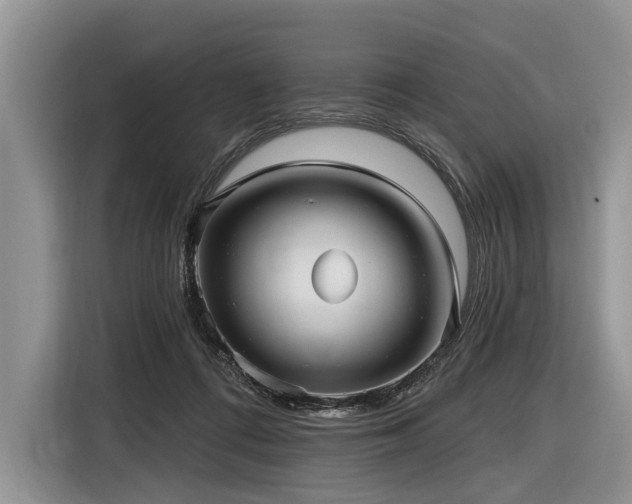 X0000116890312200912221458