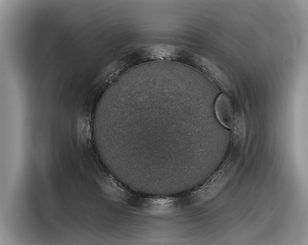 X0000116890313200912221458