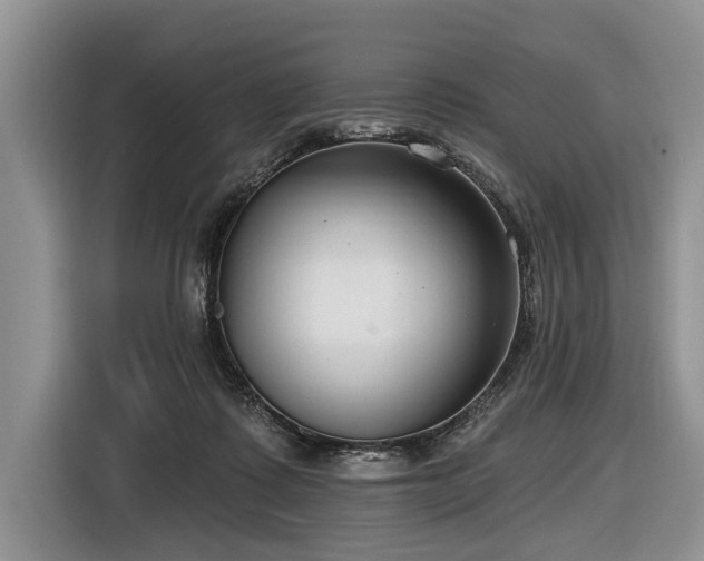 X0000116890315200912221458