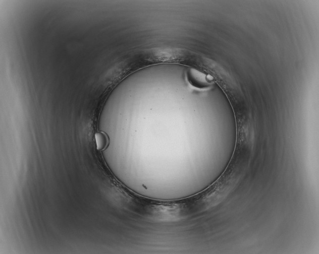 X0000116890317200912221458