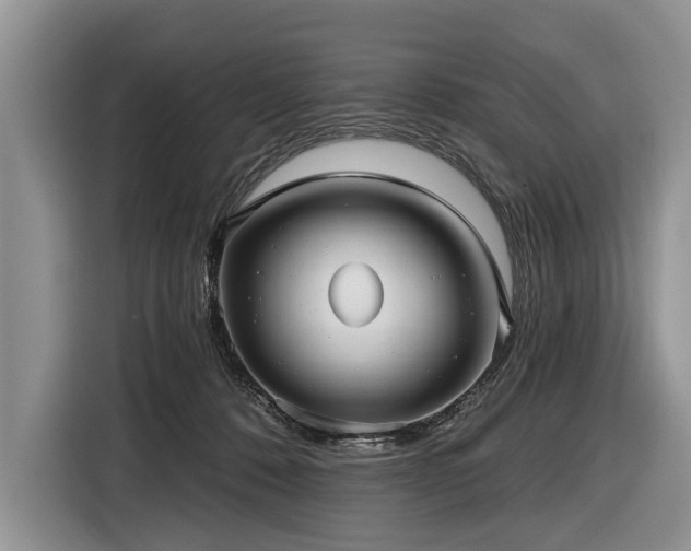 X0000116890320200912221458