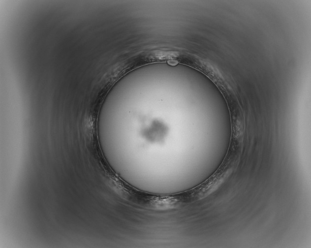 X0000116890321200912221458