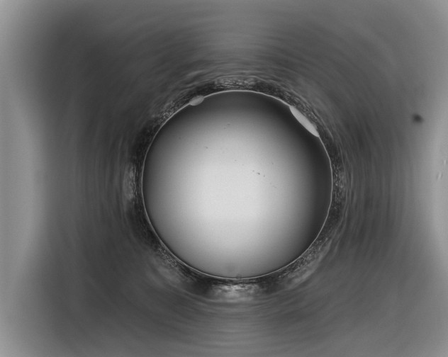 X0000116890323200912221458