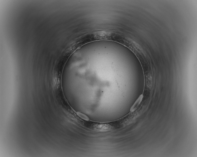 X0000116890324200912221458