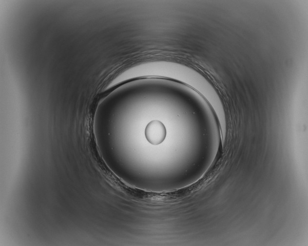 X0000116890325200912221458