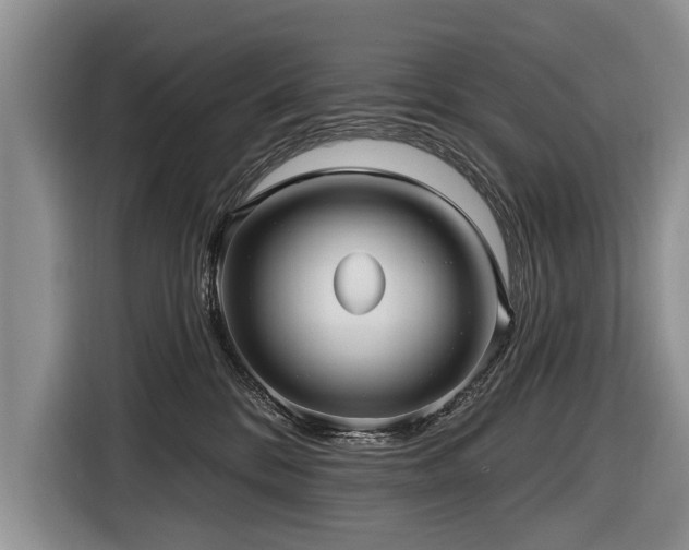 X0000116890328200912221458