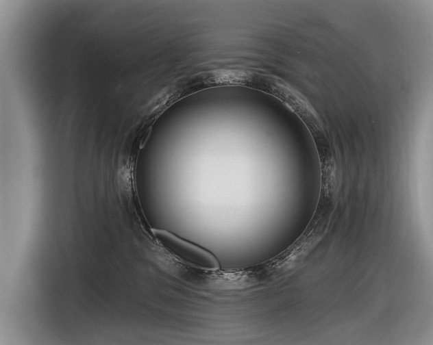 X0000116890329200912221458